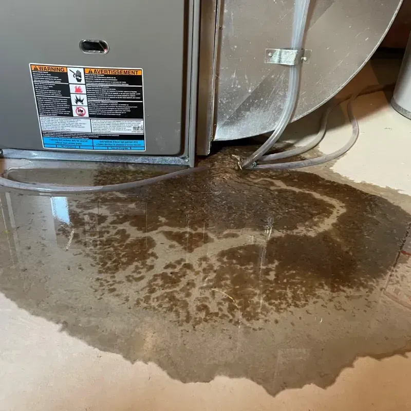 Appliance Leak Cleanup in Maysville, MO